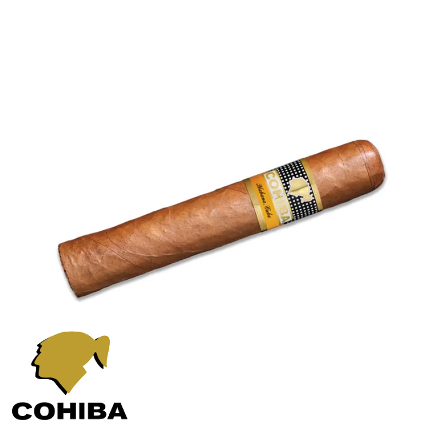 charuto cohiba robustos Recife Pernambuco
