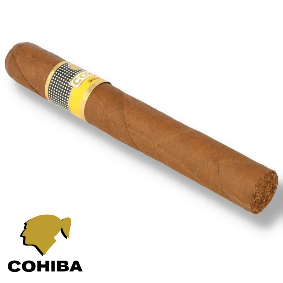 charuto cohiba siglo VI Recife Pernambuco