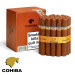 charuto cohiba siglo VI Recife Pernambuco