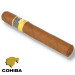 charuto cohiba siglo VI Recife Pernambuco