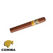 charuto cohiba siglo II Recife Pernambuco