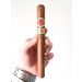charuto romeo y julieta churchill Recife Pernambuco